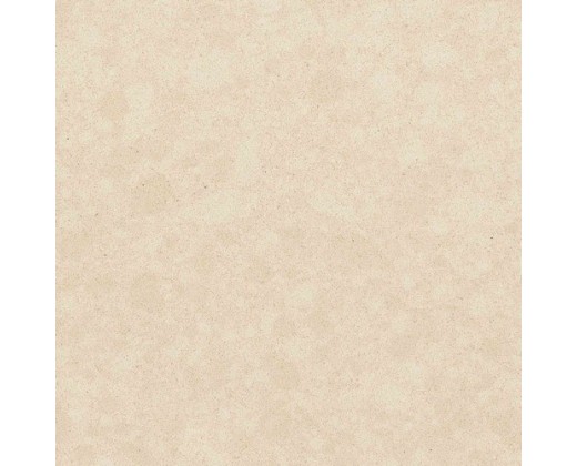 Evo Crema